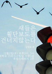 새들은 횡단보도를 건너지않는다